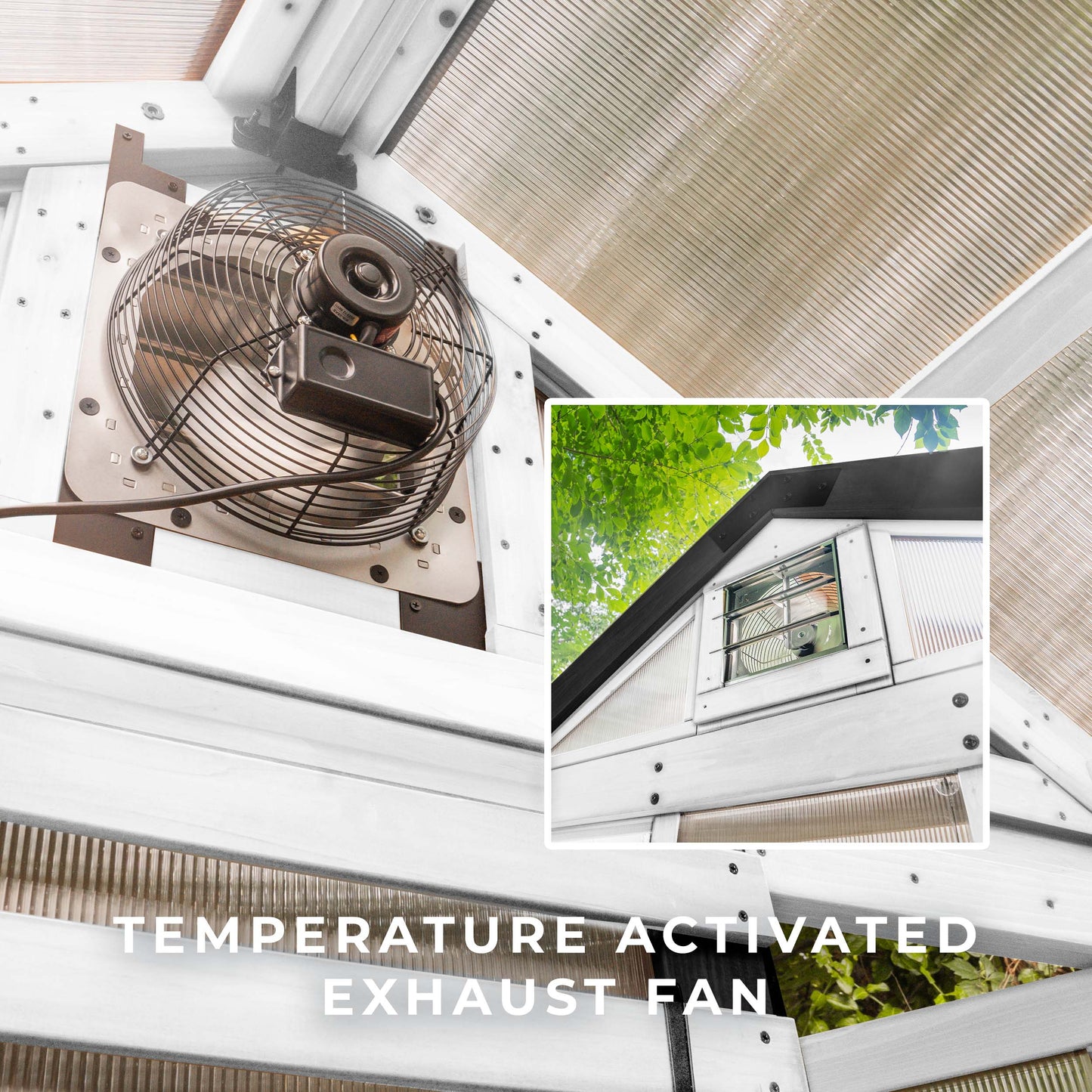 9x6 White Bellerose Greenhouse