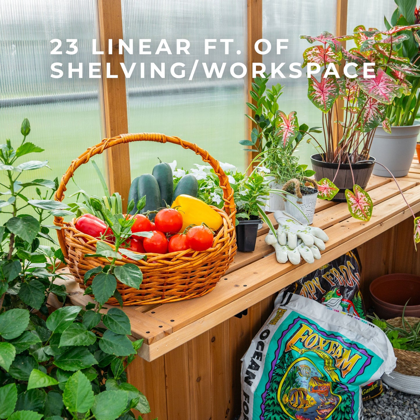 12x7 Zalie Greenhouse